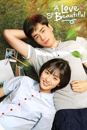 Download A Love So Beautiful 2017 (Season 1 ) WEB-DL Hindi Dubbed (ORG) 720p | 1080p HD (Chinese Drama TV Series) [All Episode]